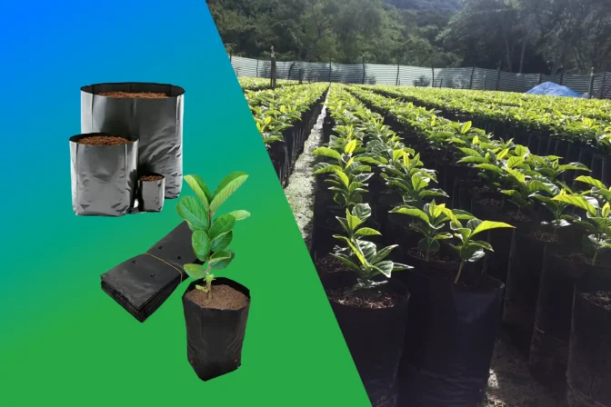 Bolsas para Viveros y Cultivos Forestales